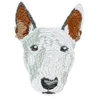 Bull Terrier