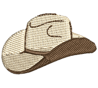 Rodeo Hat