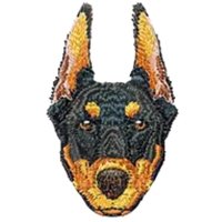 Doberman Pointed Ears