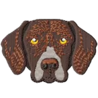 German Pointer