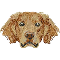 Golden Retriever Brown