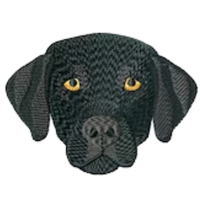 Labrador Black