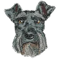 Schnauzer