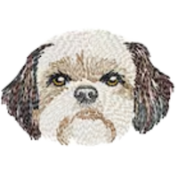 Shih Tzu